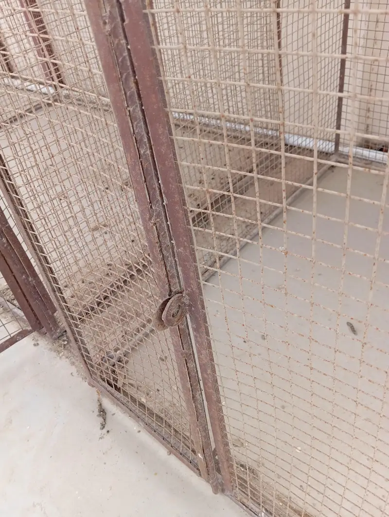Hen or Parrot Cages — photo 4