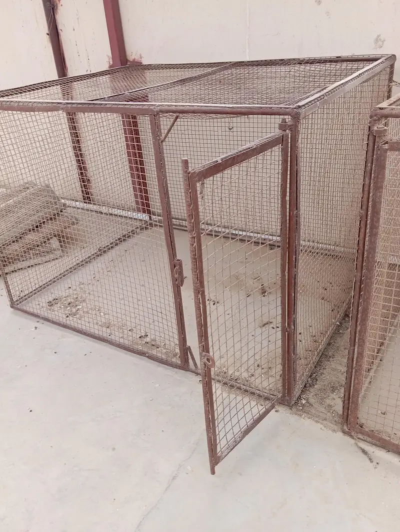 Hen or Parrot Cages — photo 5