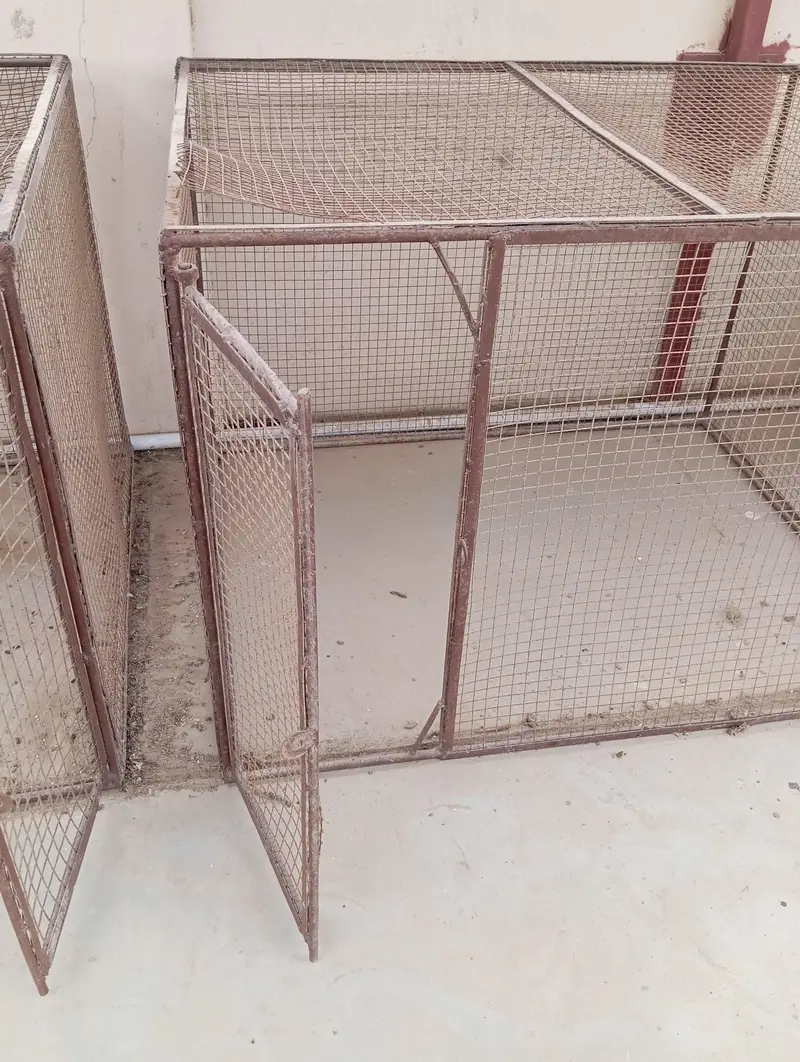 Hen or Parrot Cages — photo 6