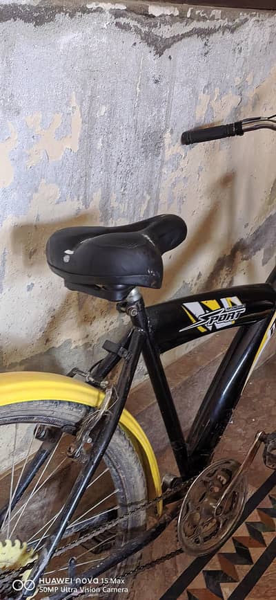 24 inch cycle