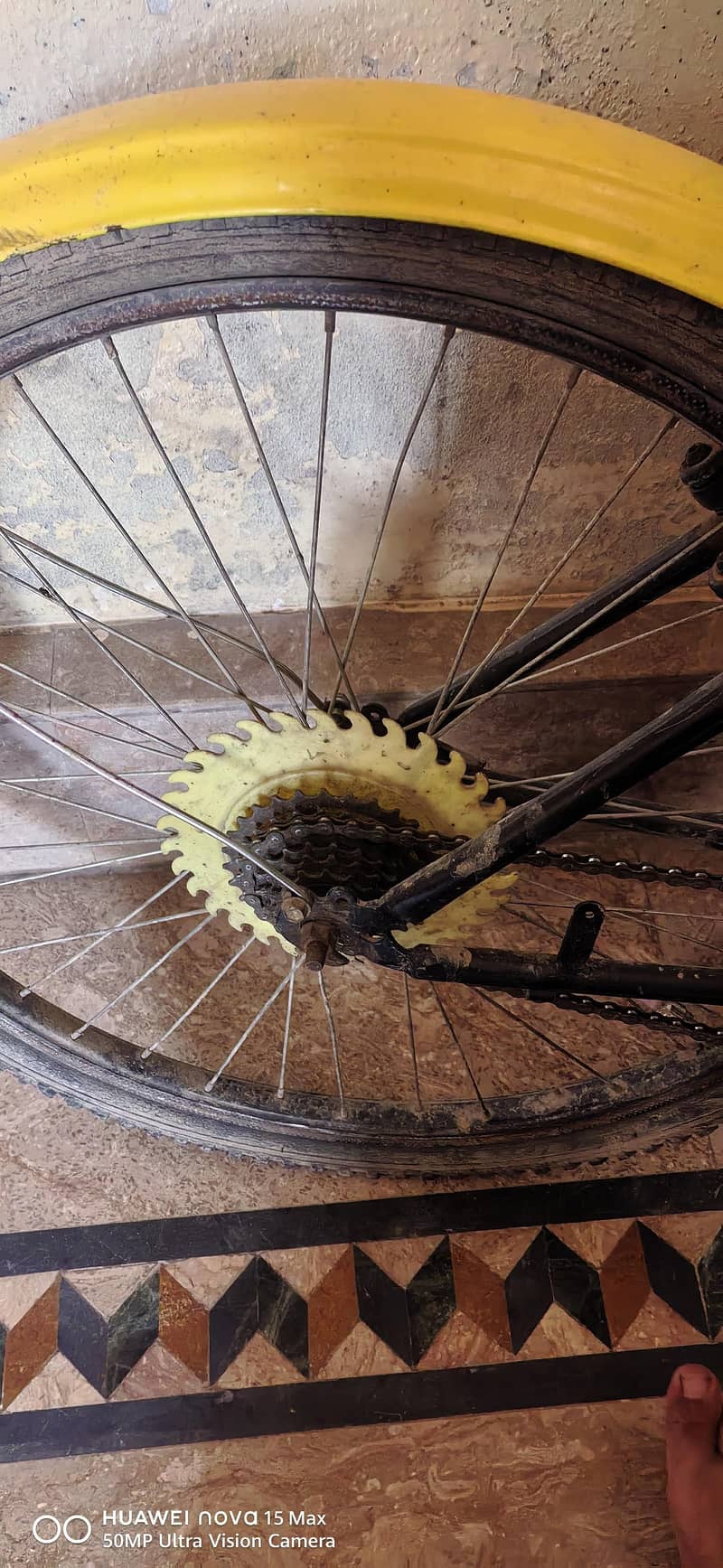 24 inch cycle 3