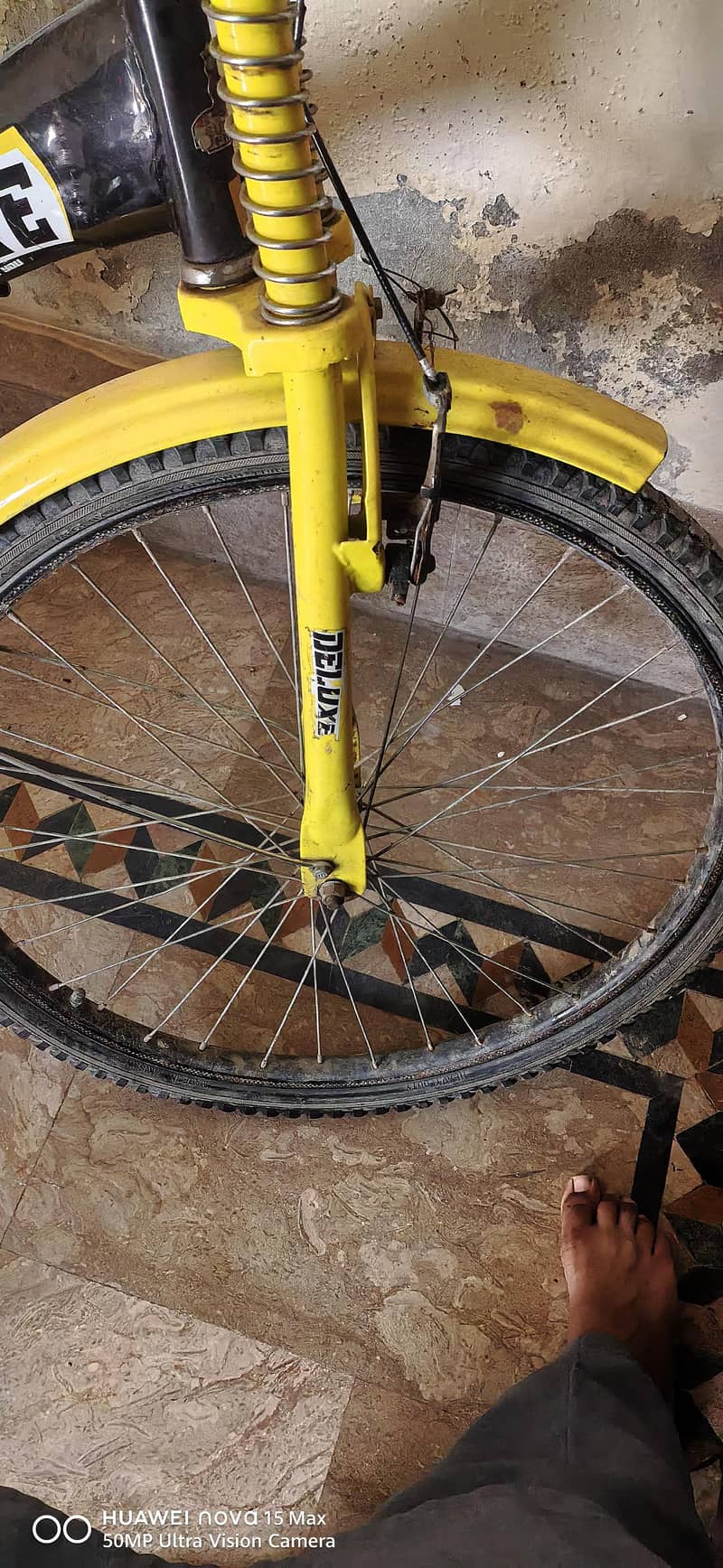 24 inch cycle 6