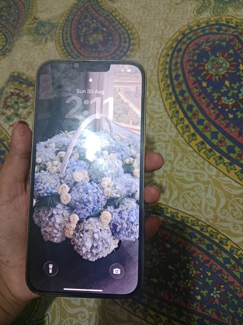 Apple iPhone 13 Pro Max 1