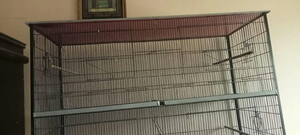 Big size 8 portion cage — photo 2