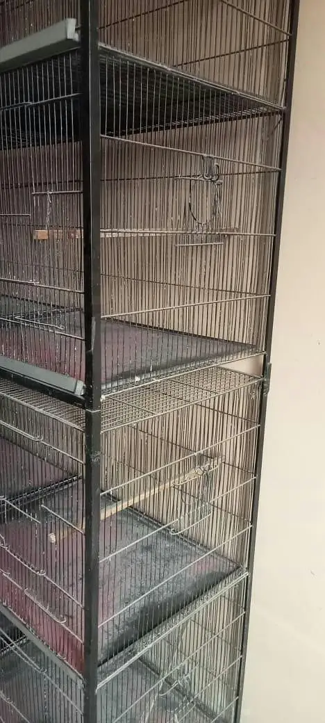 Big size 8 portion cage — photo 5