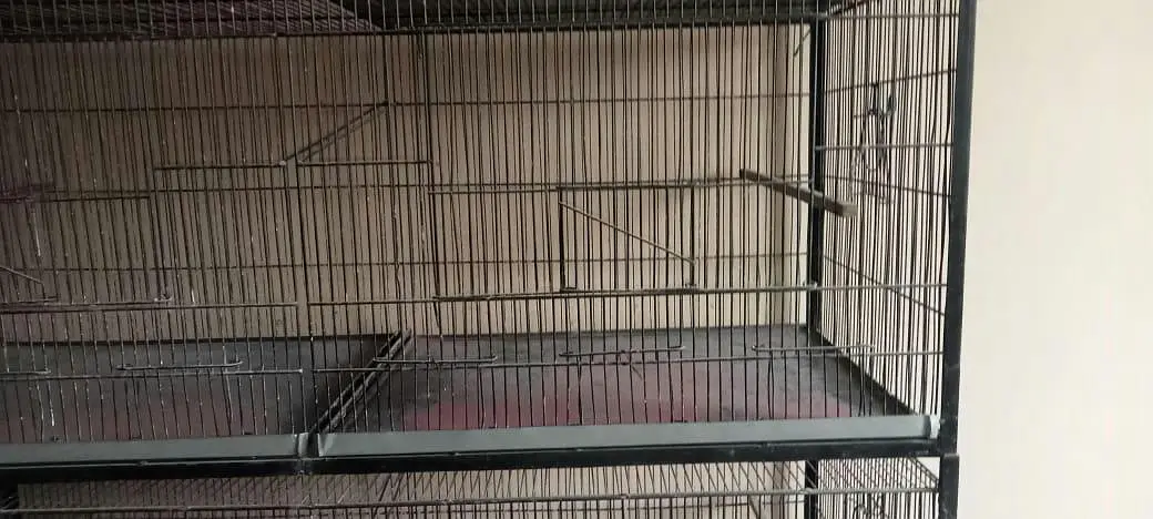 Big size 8 portion cage — photo 10