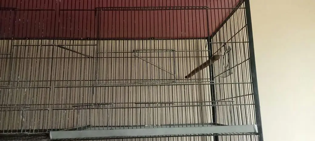 Big size 8 portion cage — photo 11
