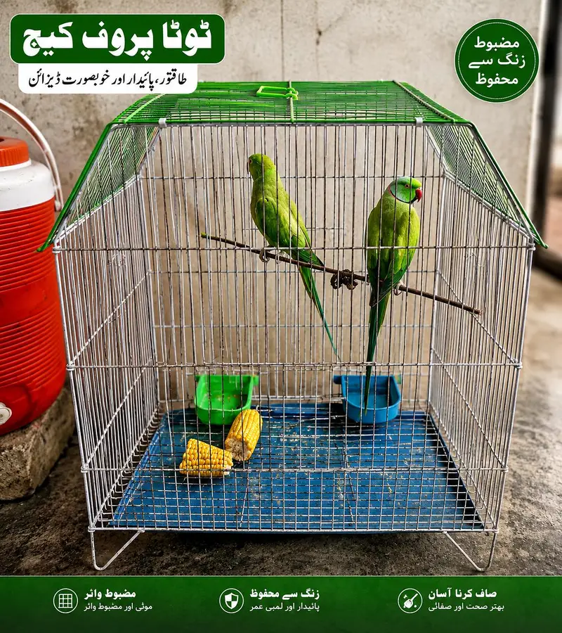 green birds — photo 6