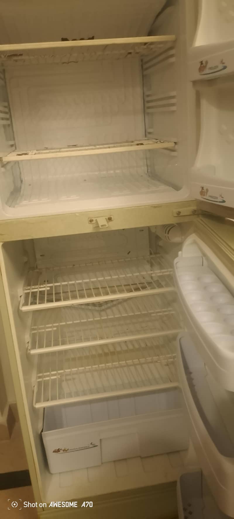 freezer 1