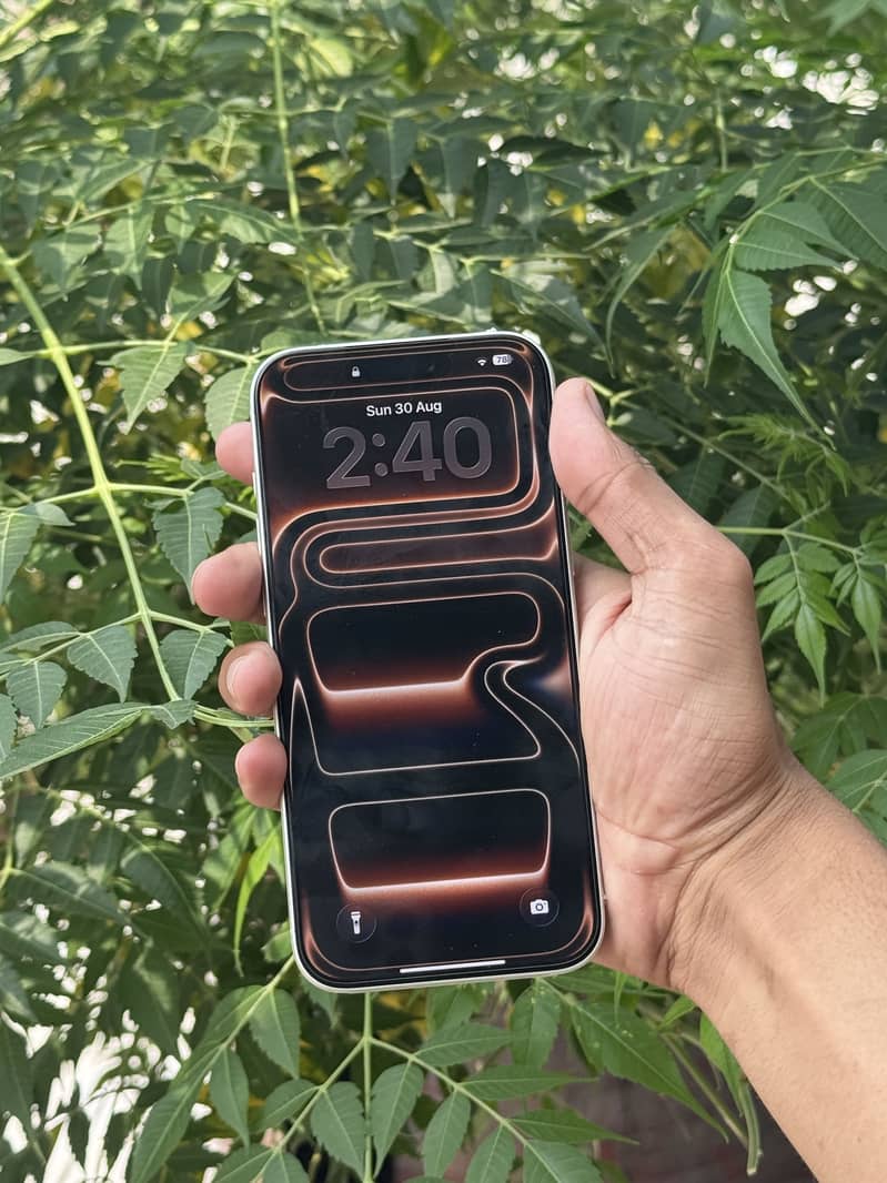 Apple iPhone 17 Pro Max 3