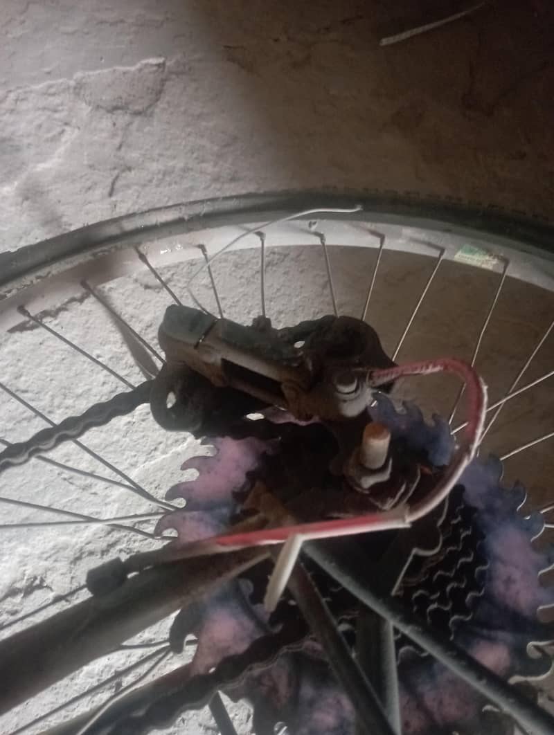 wheeler cycle 2