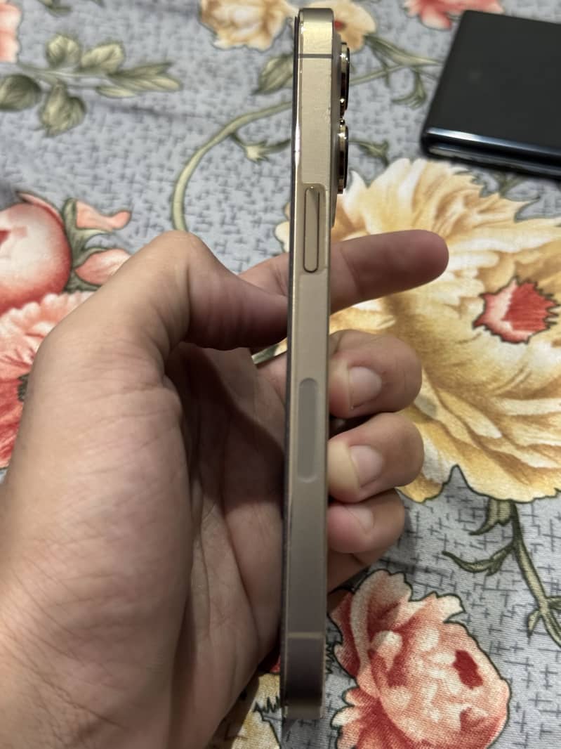 Apple iPhone 13 Pro 0