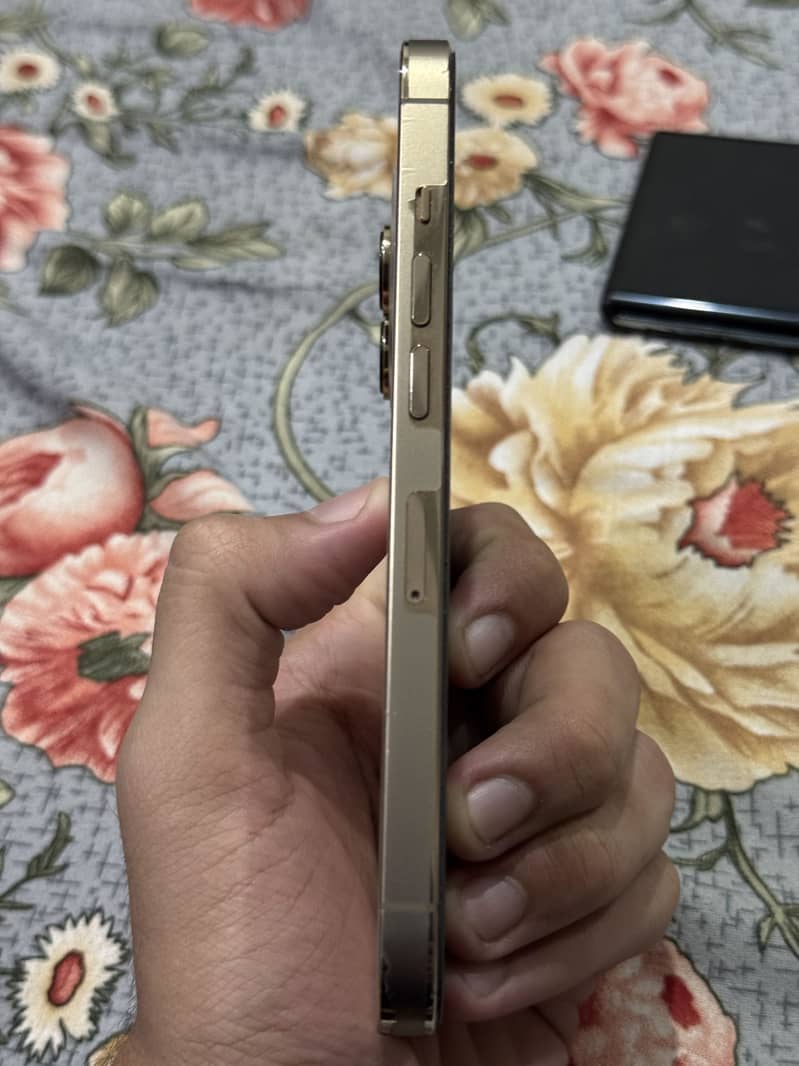 Apple iPhone 13 Pro 5