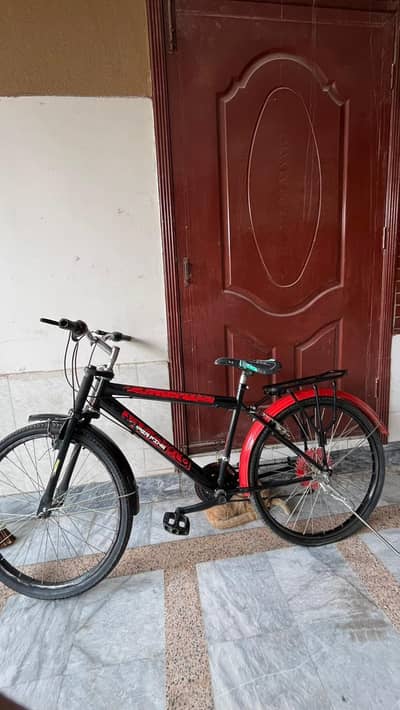 Phoenix Cycle
