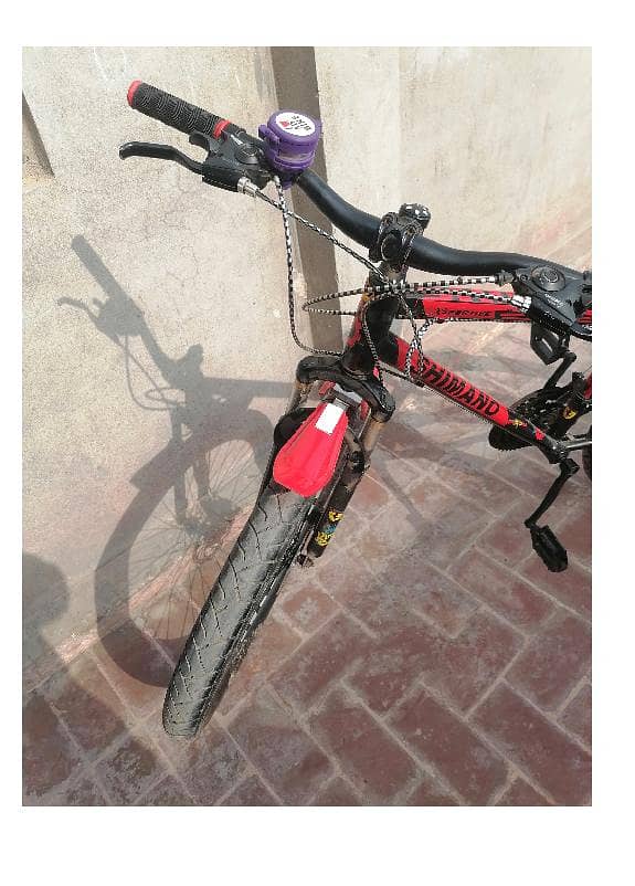 Bicycle 2