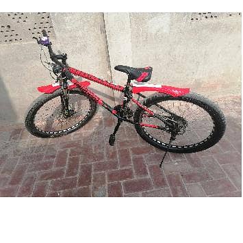Bicycle 4