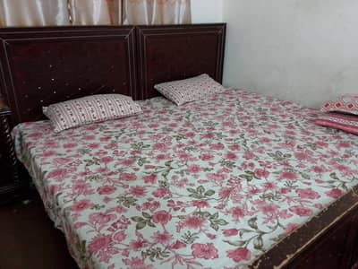 Single 2 Palang