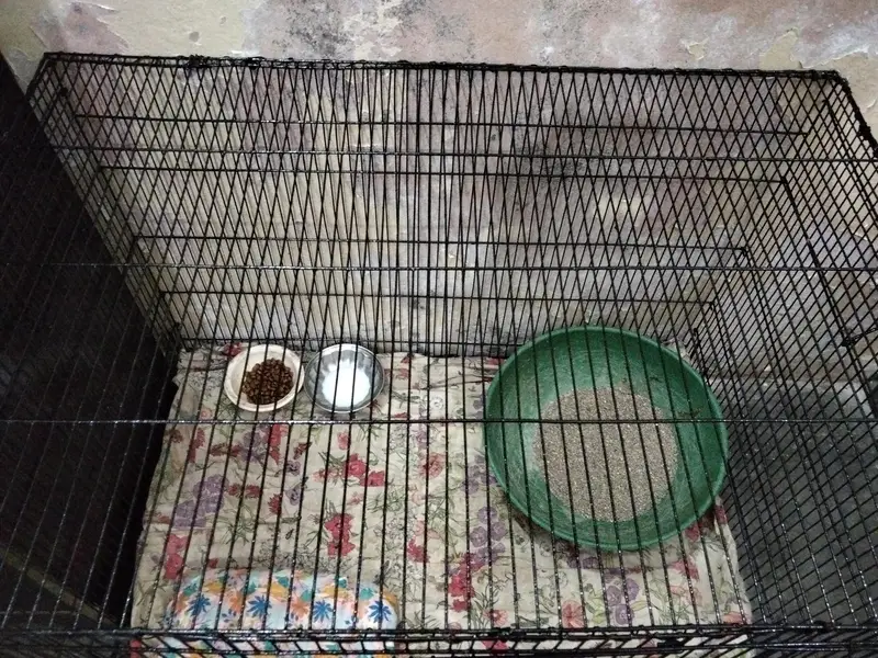 Cage pure Iron 3×2 — photo 2