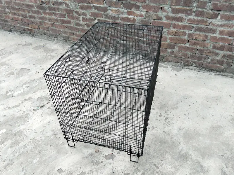 Cage pure Iron 3×2 — photo 4