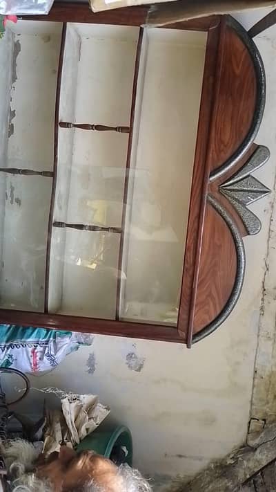 showcases