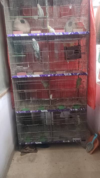 Birds cage