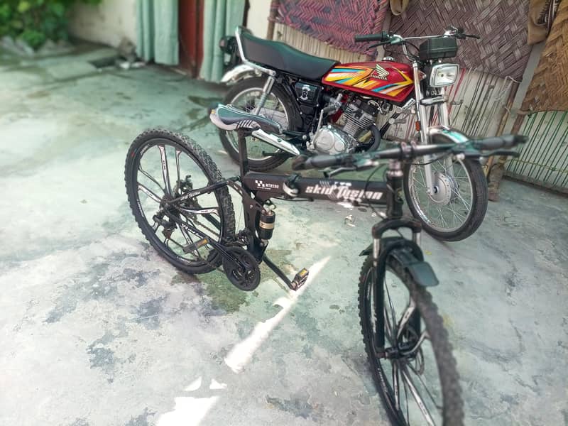 folding bicycle 1