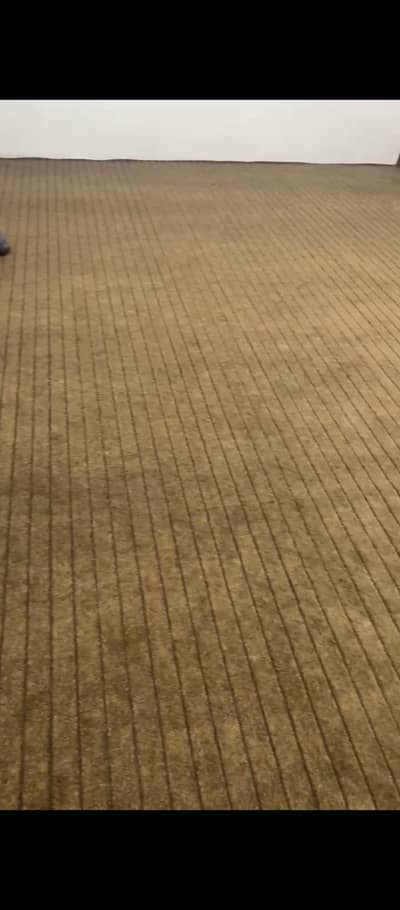 Carpet 12/18 Urgent Sale