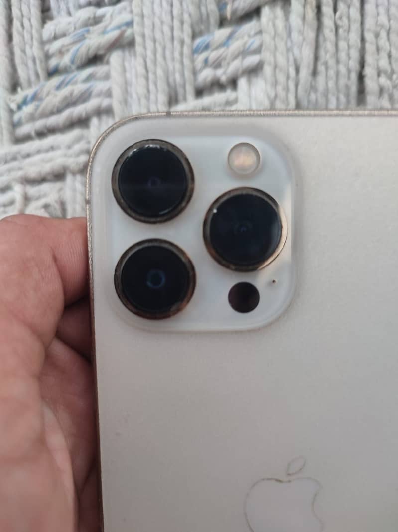 Apple iPhone 13 Pro Max 1