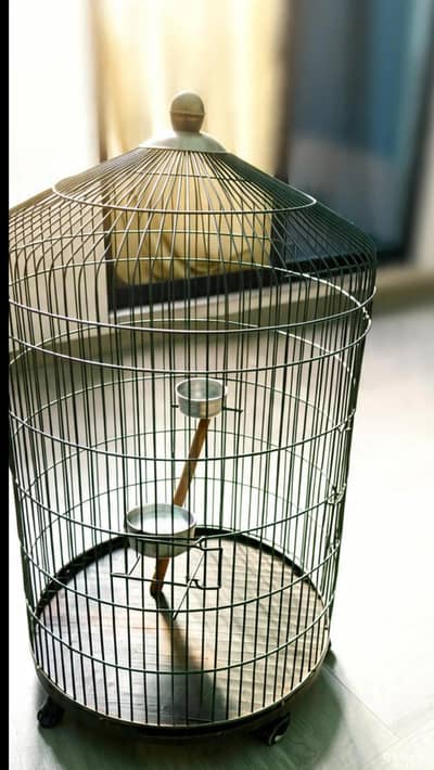 iron Bird Cage For Sale | small 4000 & Large 12,000 | Wheels Excellent