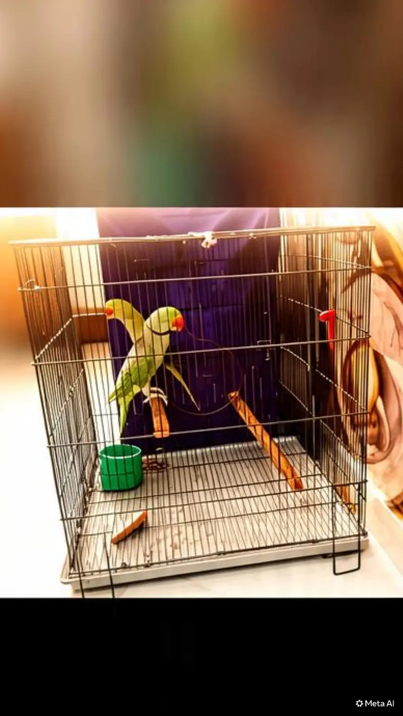 iron Bird Cage For Sale | small 4000 & Large 12,000 | Wheels Excellent — photo 2