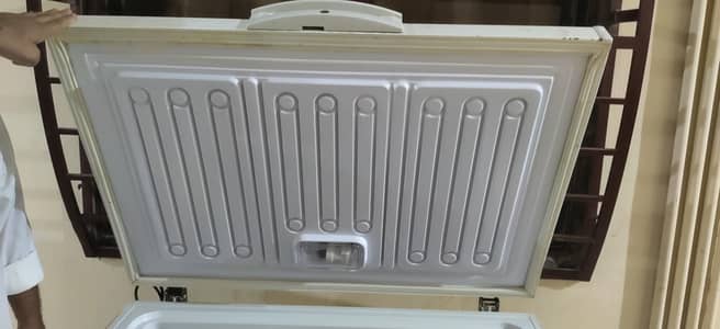 Haier Freezer (Condition 10/10)