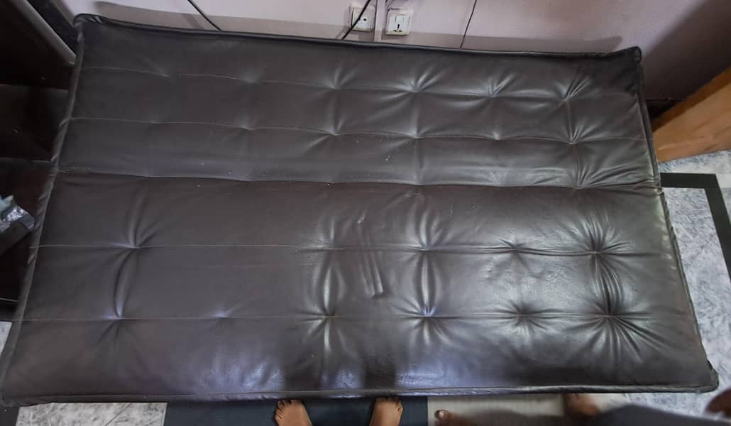 Sofa Cum Bed 2
