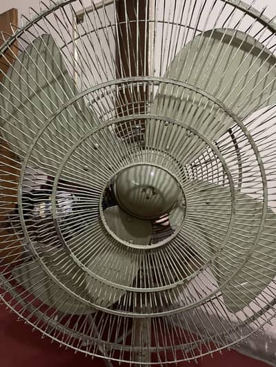 Pedestal Fan (for urgent sale)