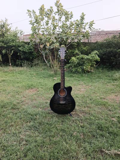 New Imported Guitar