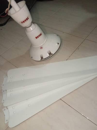 Royal Ceilingl Fan