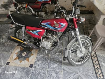 Ali shan