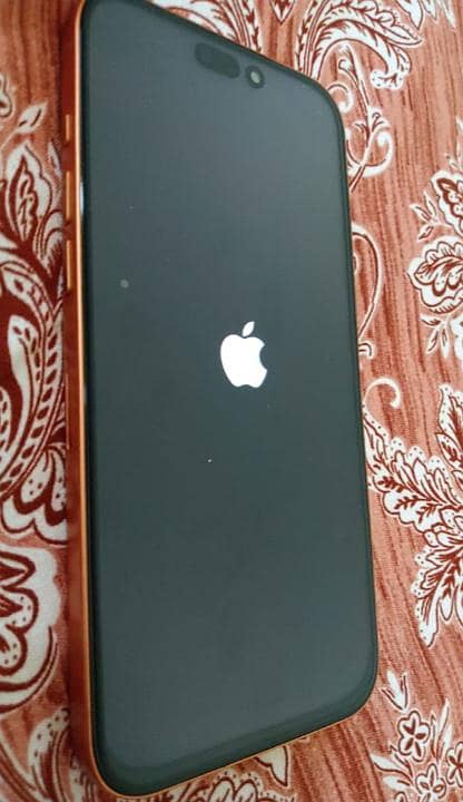 Apple iPhone 17 Pro Max 4