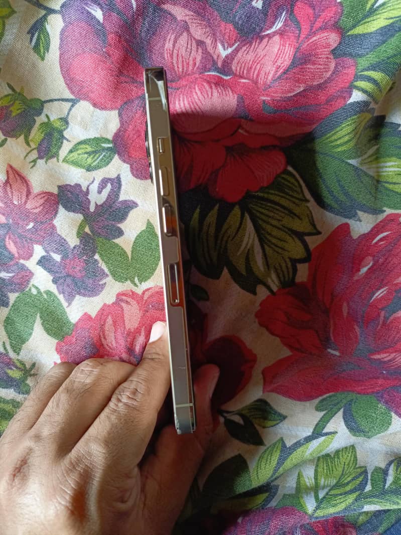 Apple iPhone 13 Pro 1