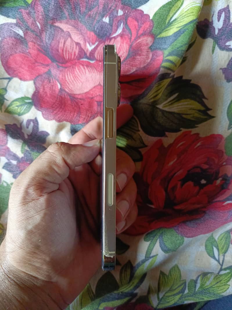 Apple iPhone 13 Pro 5