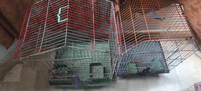 Birds cages