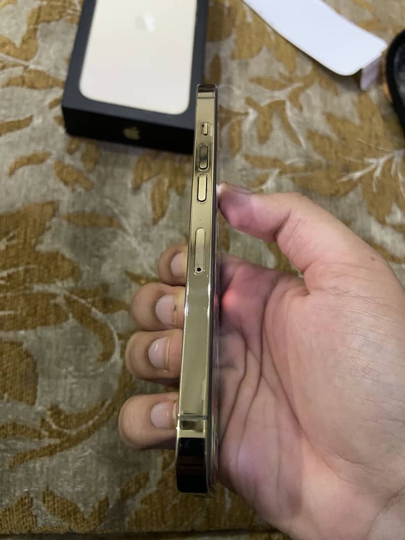 Apple iPhone 13 Pro 5