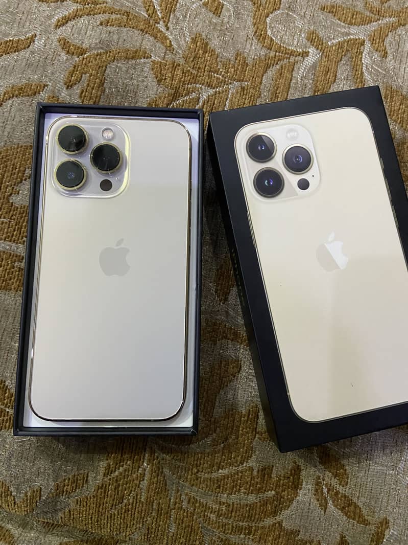 Apple iPhone 13 Pro 10