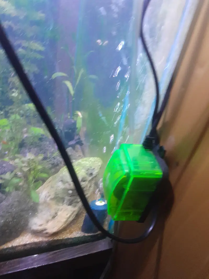 1.5 ft aquarium with stand 5 cherry shrimp red yellow orange 6 neon te — photo 8