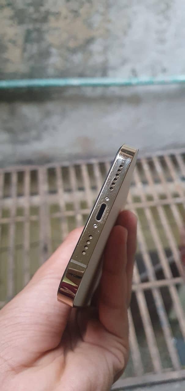 Apple iPhone 12 Pro Max 1