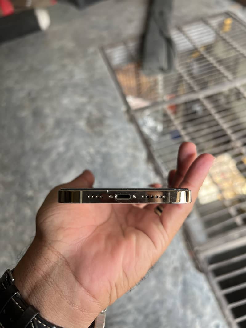 Apple iPhone 12 Pro Max 1