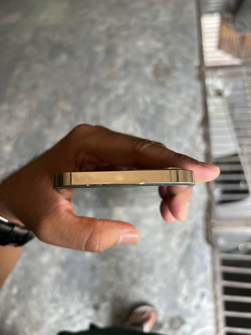 Apple iPhone 12 Pro Max 2
