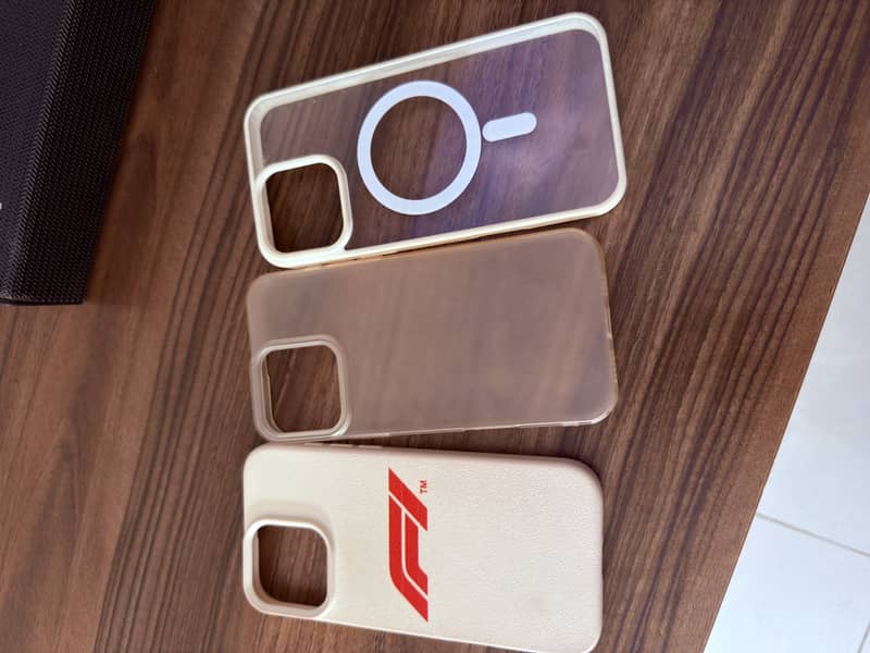 iPhone 16 Pro Max Cases 5