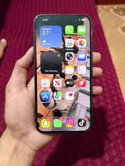 Apple iPhone 13 Pro Max