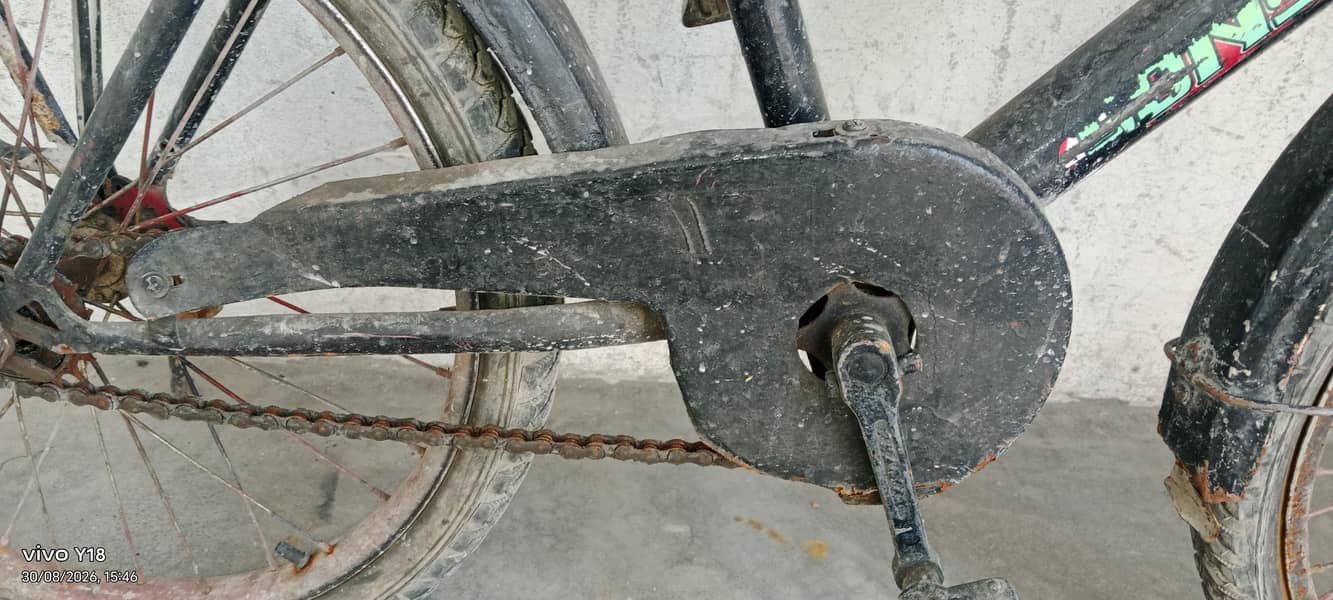 cycle normal conditions 1