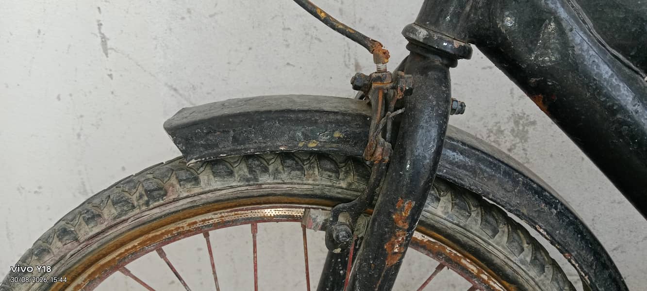 cycle normal conditions 5